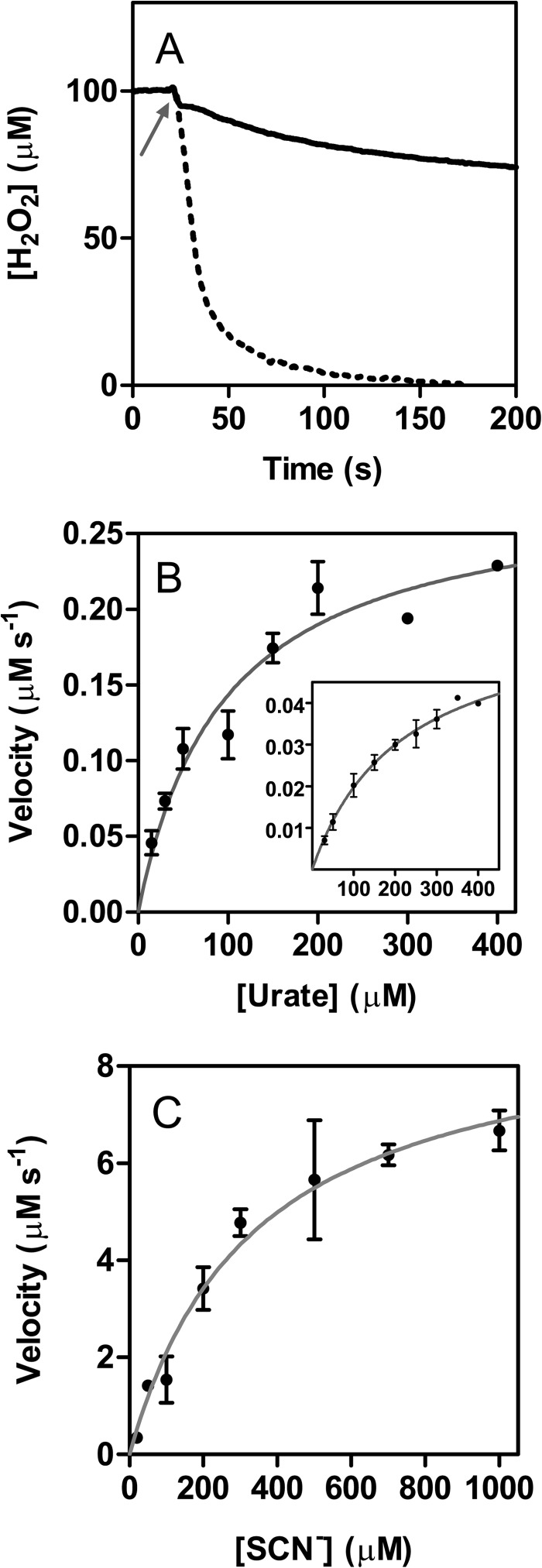 FIGURE 5.