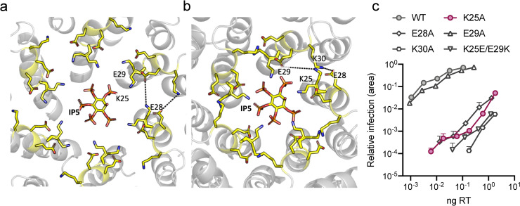 Fig 5