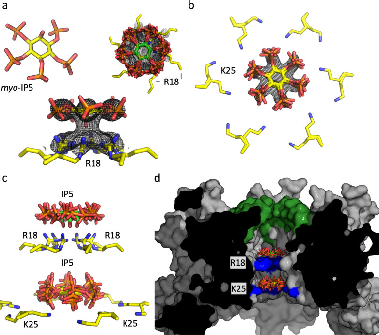 Fig 1