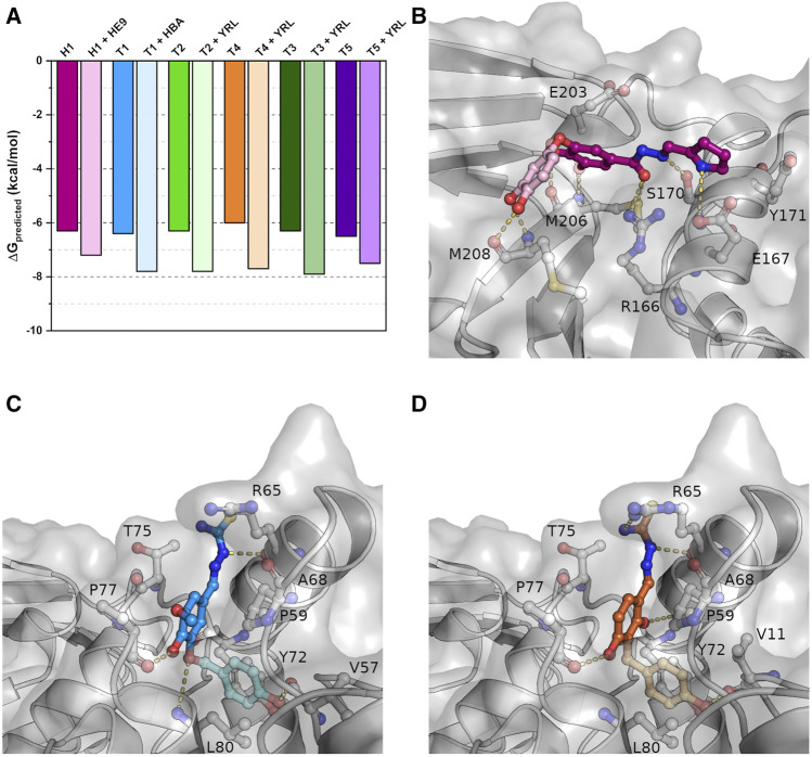 FIGURE 6