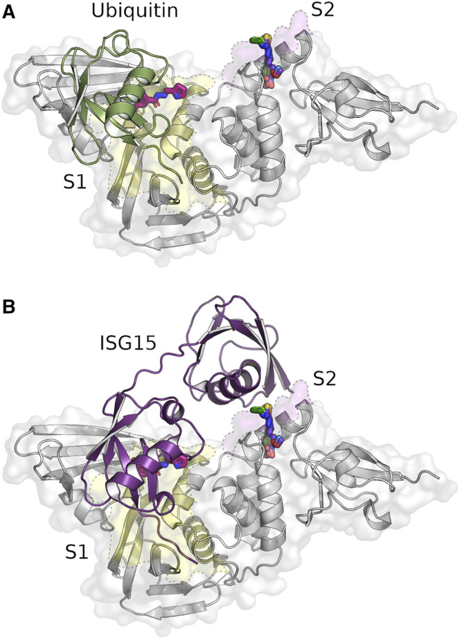 FIGURE 2