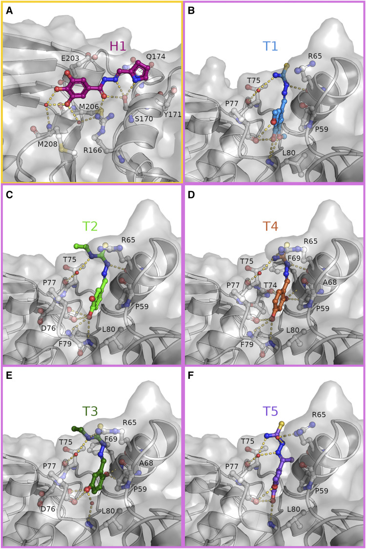 FIGURE 3