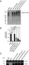 Fig 7