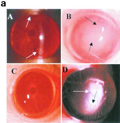 FIG. 5.