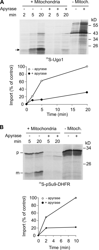 Figure 2.