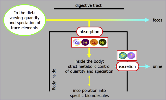 Fig. 1