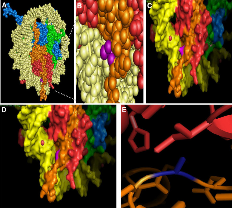 Figure 5.