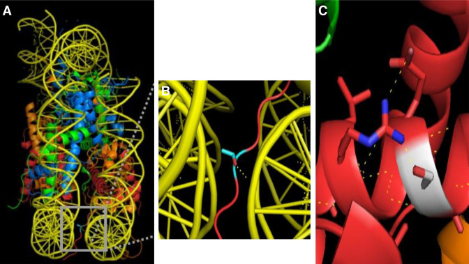 Figure 6.