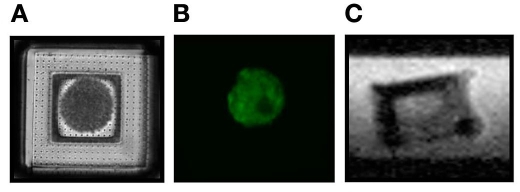 Figure 4.