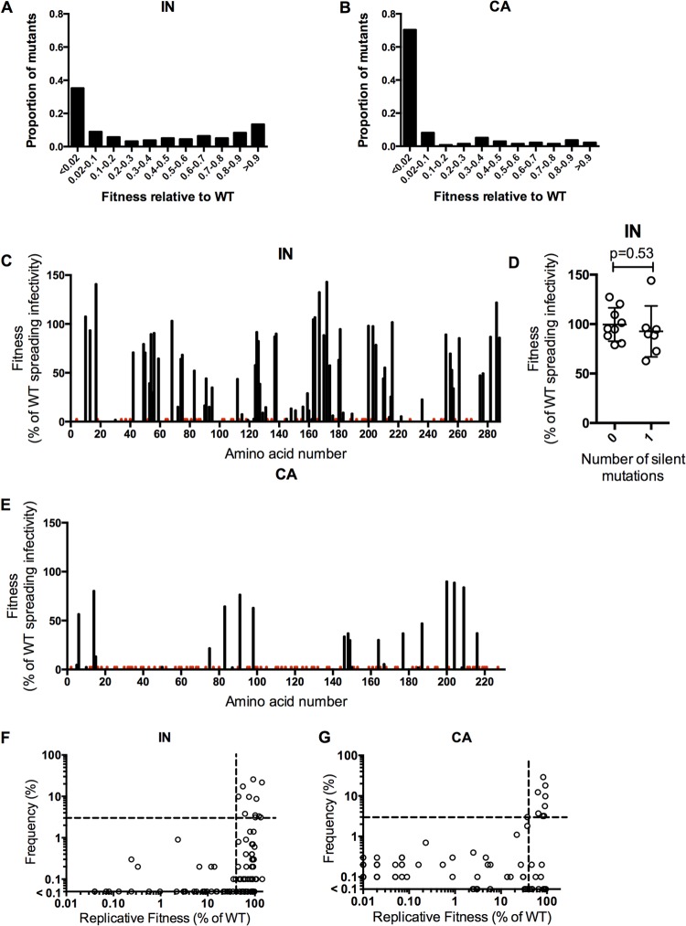 FIG 3