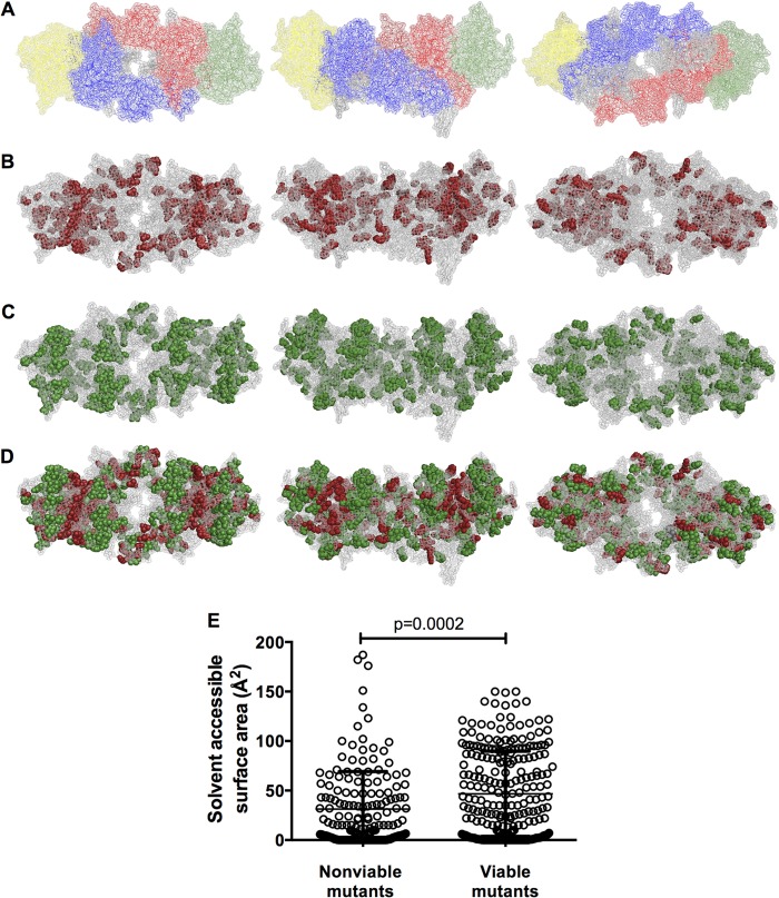 FIG 4