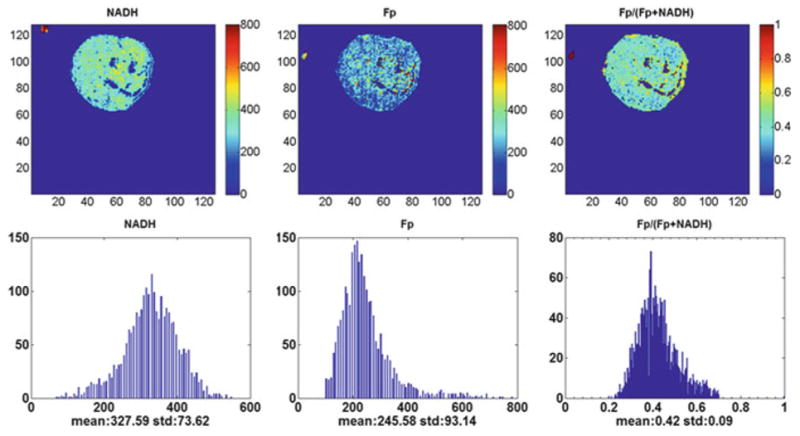 Fig. 33.1