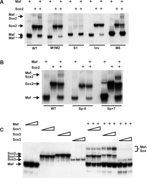 FIG. 5.