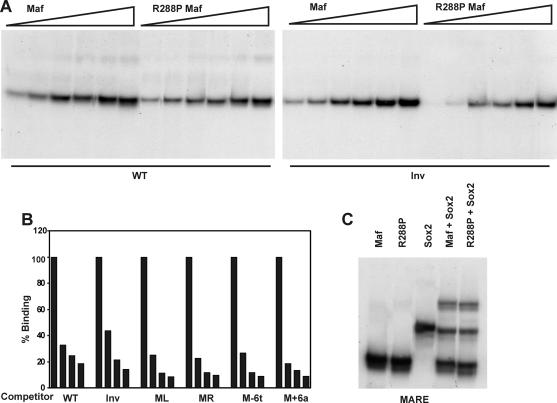 FIG. 6.