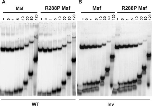 FIG. 7.