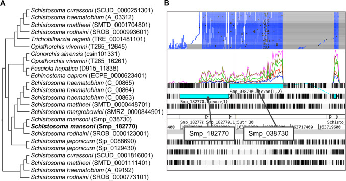 Fig 6