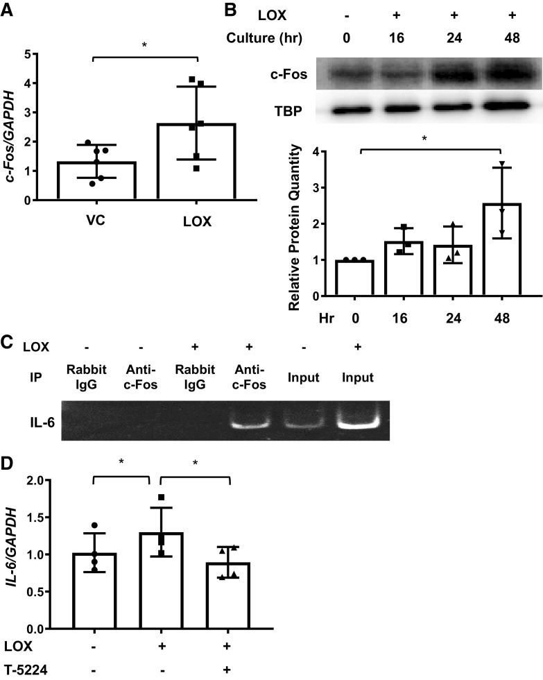 Figure 7.