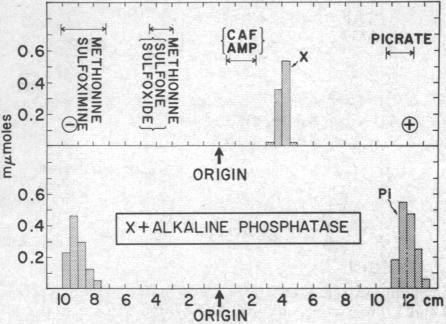 graphic file with name pnas00103-0181-a.jpg