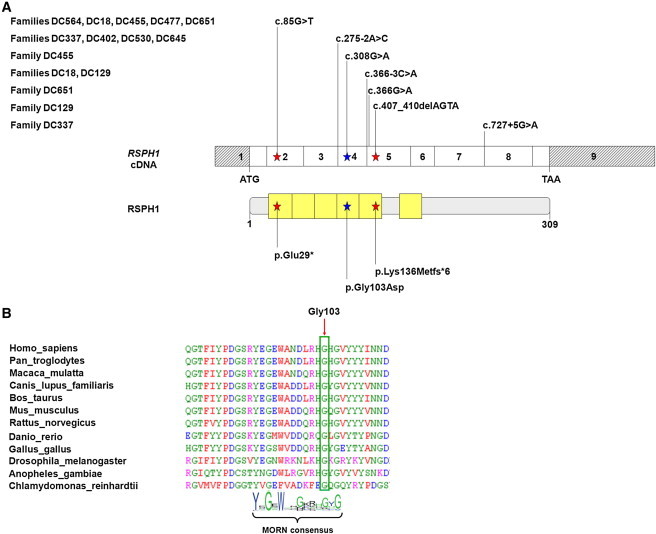 Figure 2