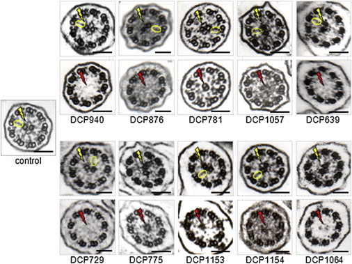 Figure 1