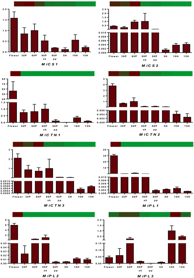 Figure 5