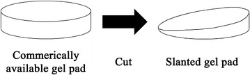 Fig. 1