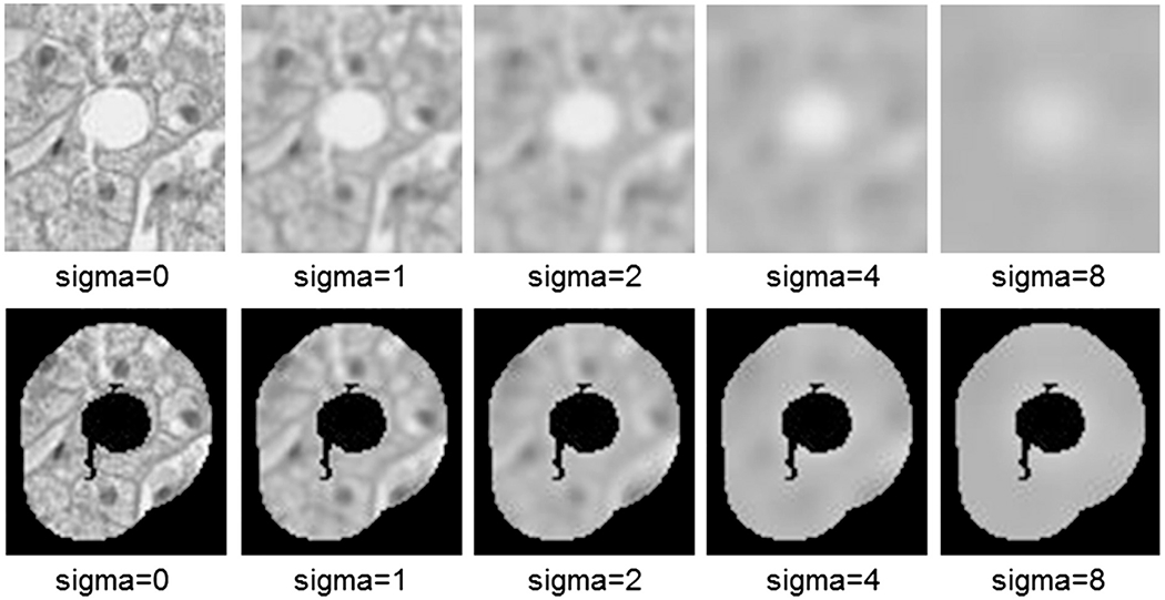 Fig. 4