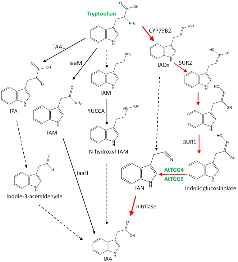 Figure 9