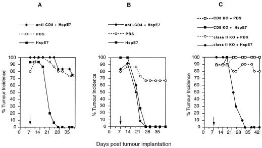 Fig 2. 