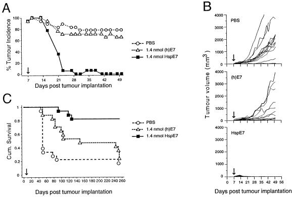 Fig 1. 