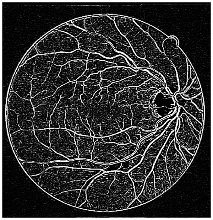 Figure 4