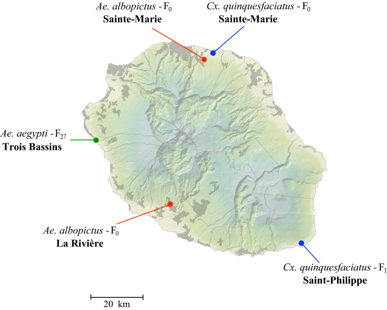 Fig. 1