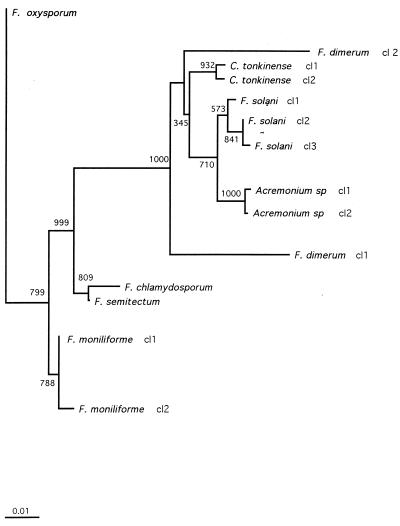 FIG. 1