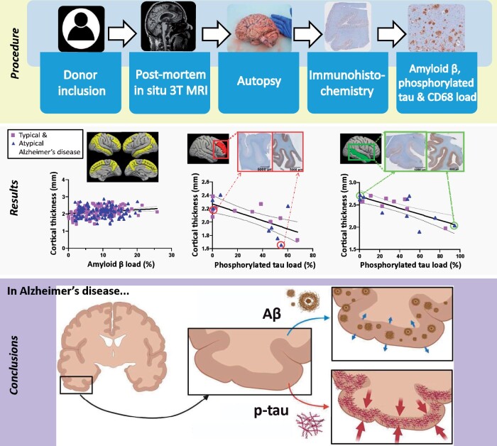 Graphical Abstract