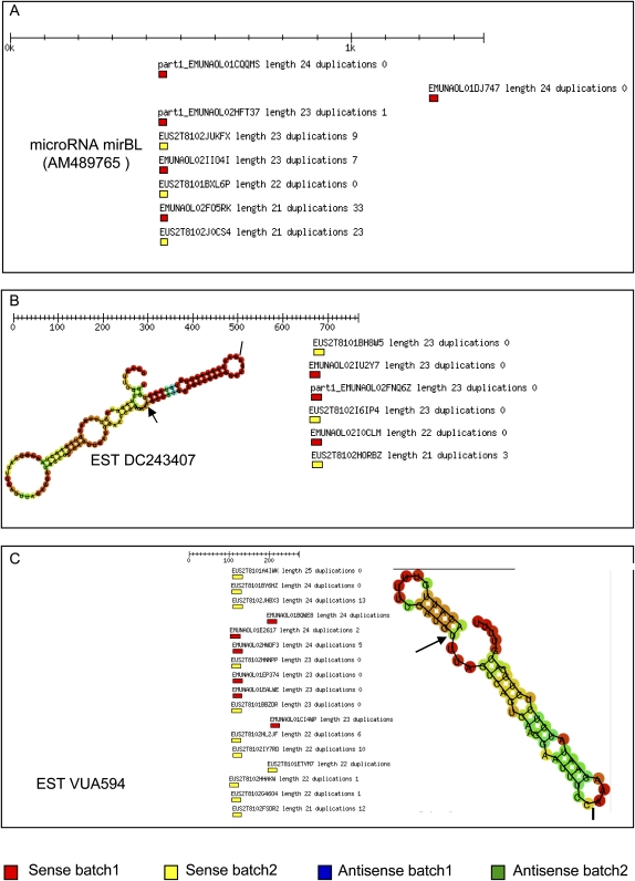 FIGURE 3.