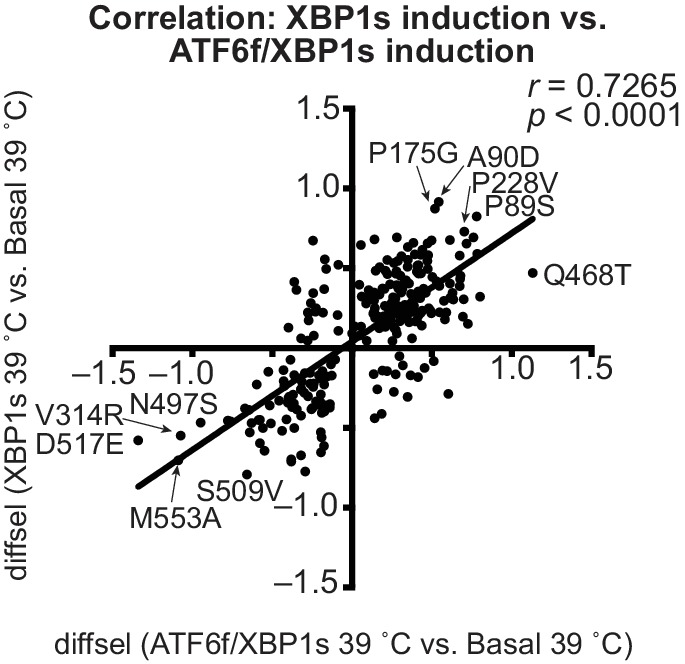 Figure 5—figure supplement 1.