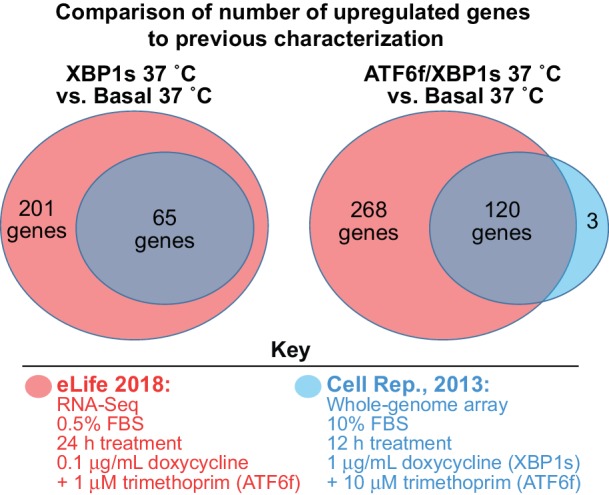 Figure 2—figure supplement 2.