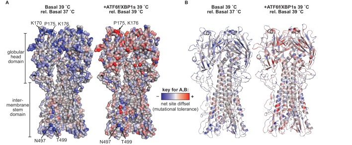 Figure 8—figure supplement 1.