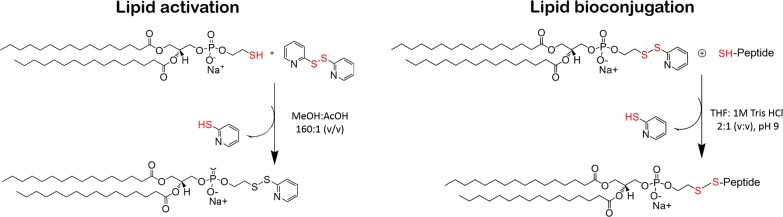 Fig. 1