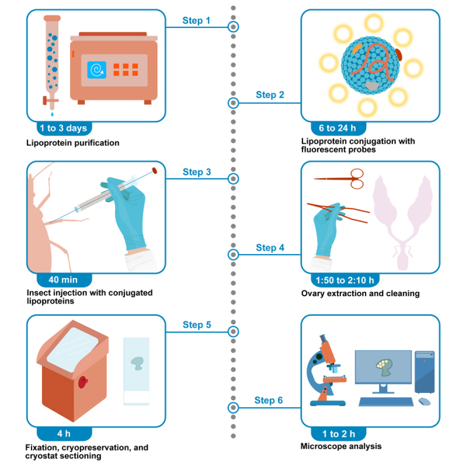 graphic file with name fx1.jpg