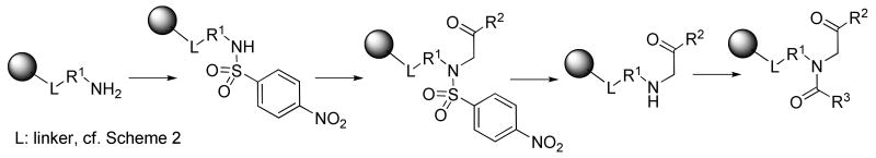 Scheme 1