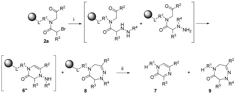 Scheme 5