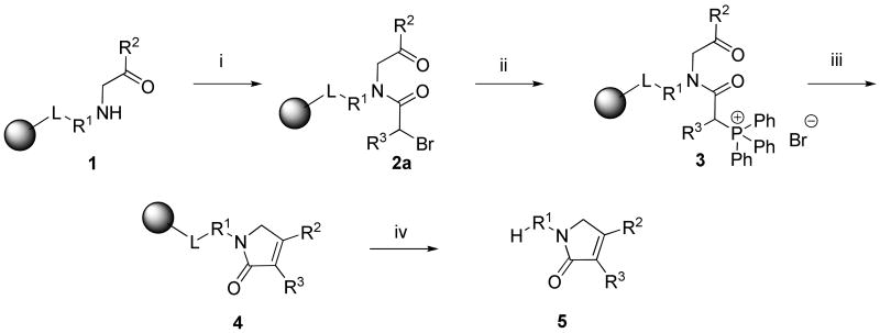 Scheme 3