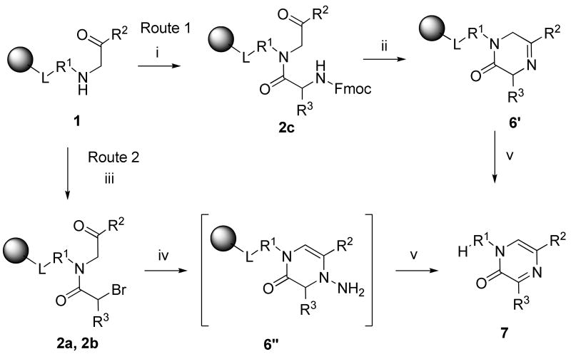 Scheme 4