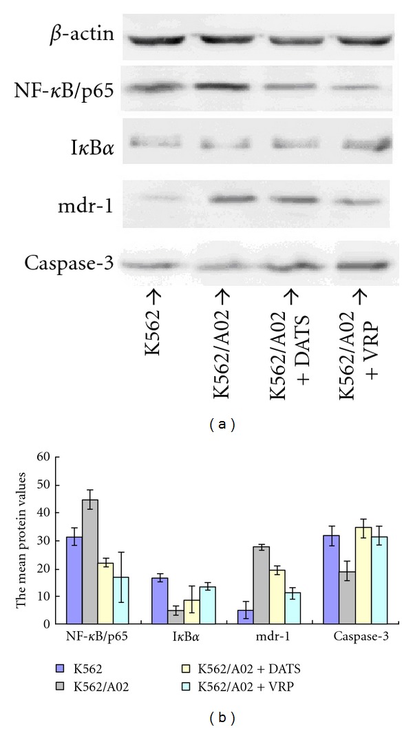 Figure 7