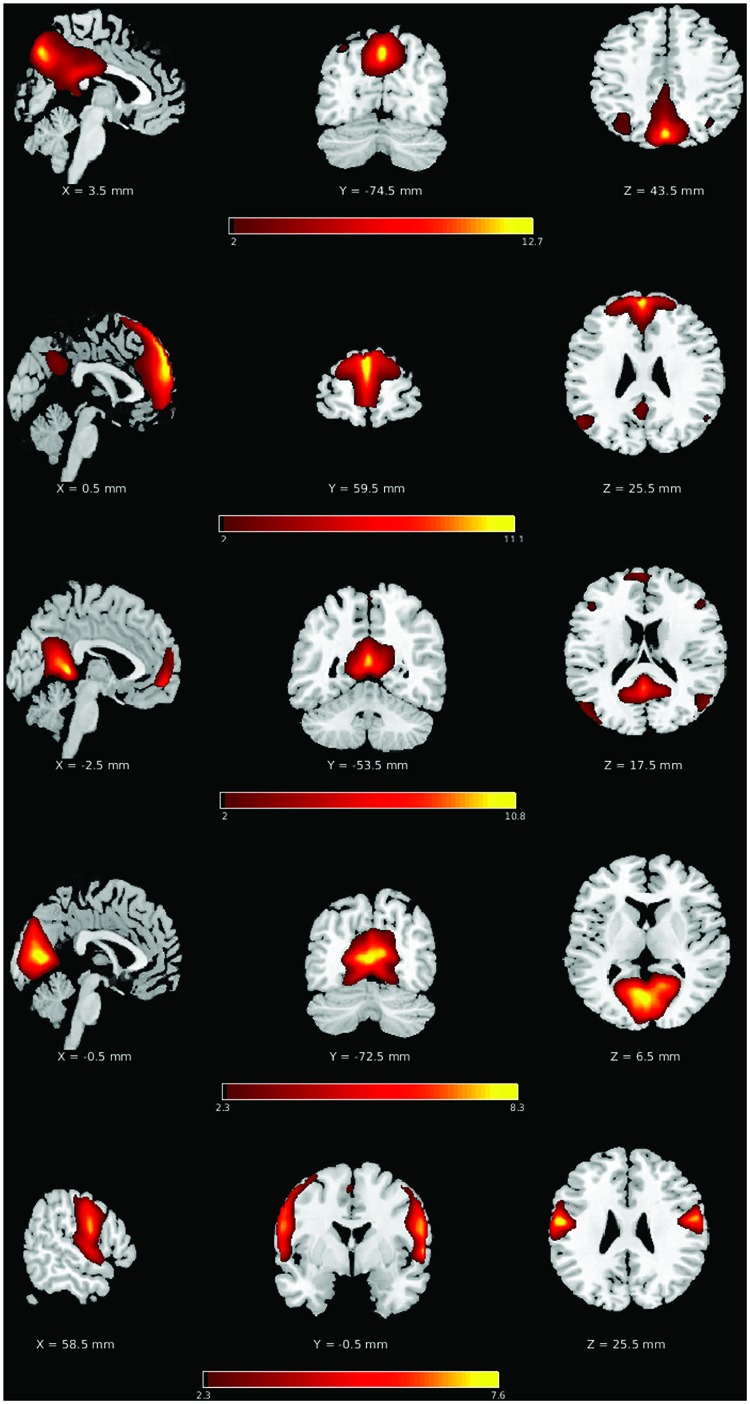 FIGURE 2