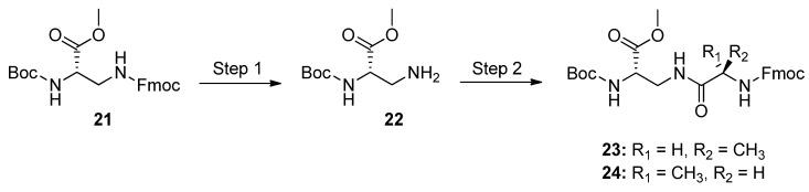 Scheme 6