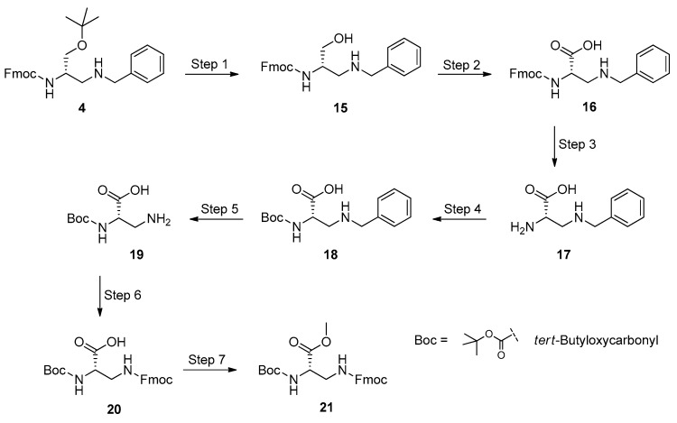 Scheme 5