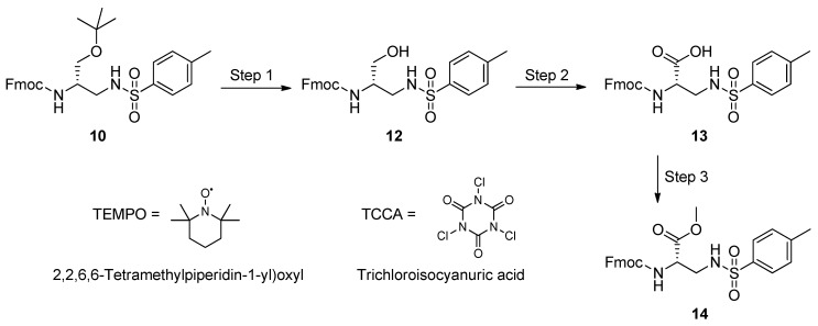 Scheme 4