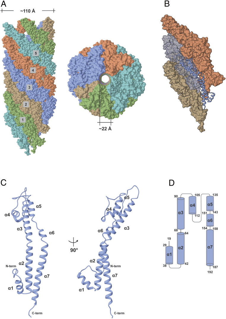 Fig. 2.